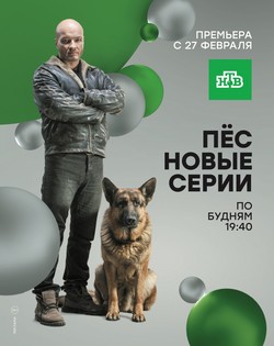 Пёс 5 сезон